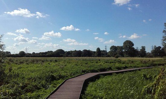 Bowthorpe Marsh