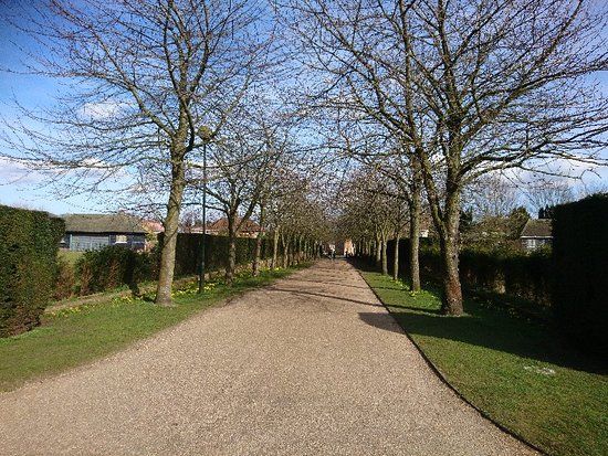 Waterloo Park