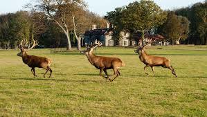 Gunton Hall