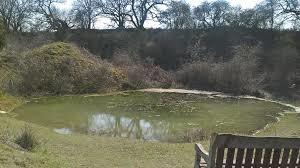 Alderford Common