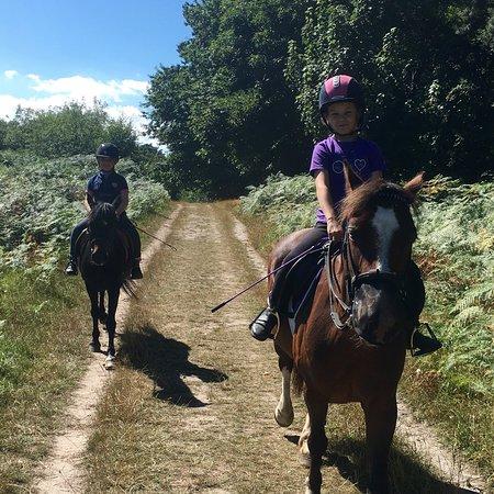 Squirrelwood Equestrian Centre