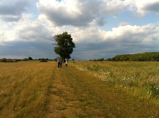 High Ash Farm