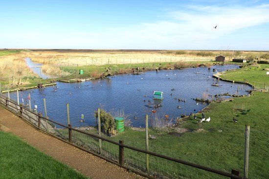 Blakeney Conservation Duck Pond